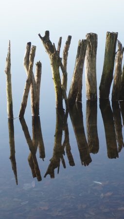 See mit Holz