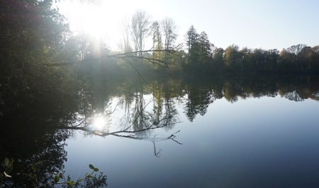 Herbst Bäume See Ruhige Gewässer Reflexion Sonne